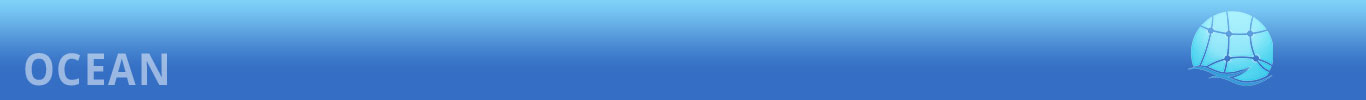 Ocean